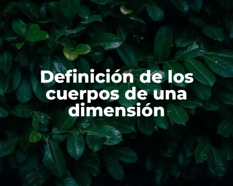 Definición de los cuerpos de una dimensión