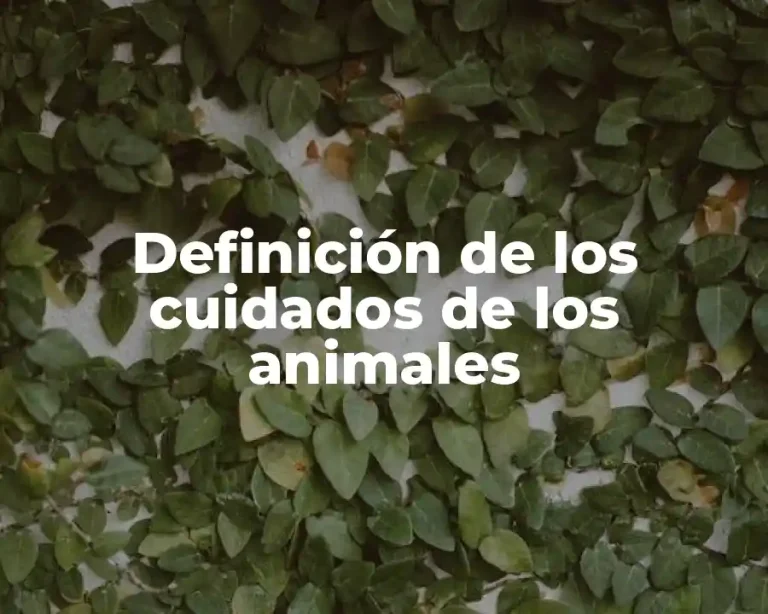 Definición de los cuidados de los animales