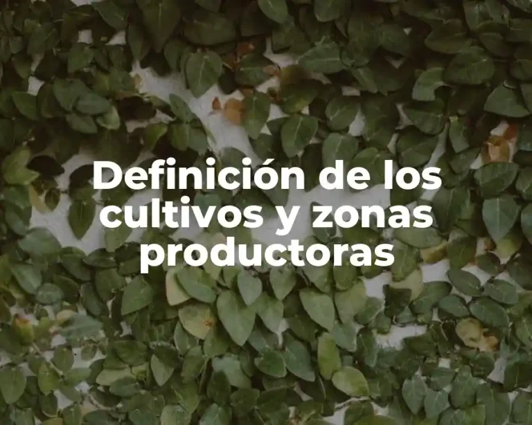 Definición de los cultivos y zonas productoras
