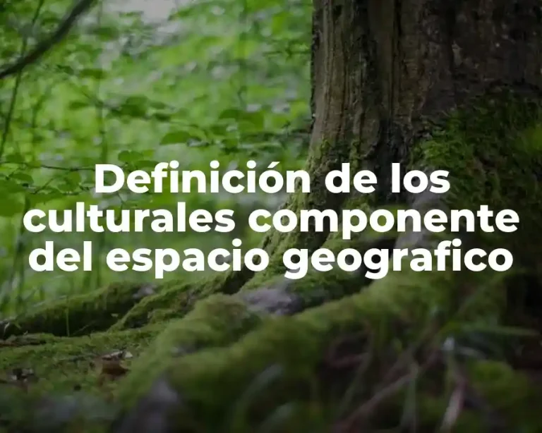 Definición de los culturales componente del espacio geografico