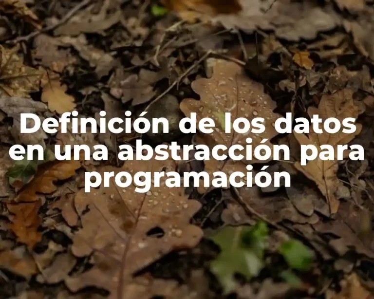 Definición de los datos en una abstracción para programación