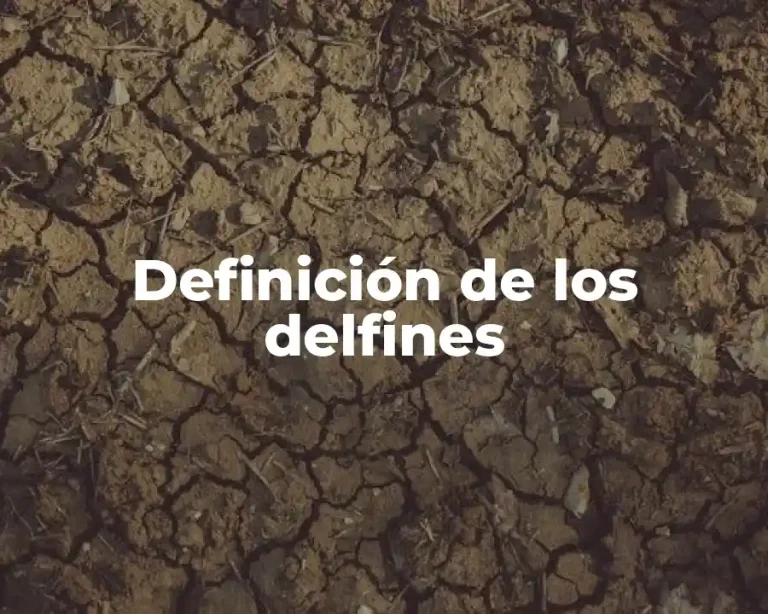 Definición de los delfines