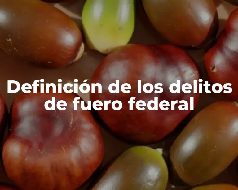 Definición de los delitos de fuero federal