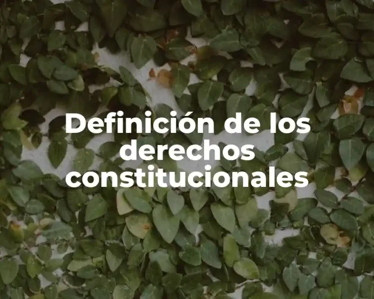 Definición de los derechos constitucionales