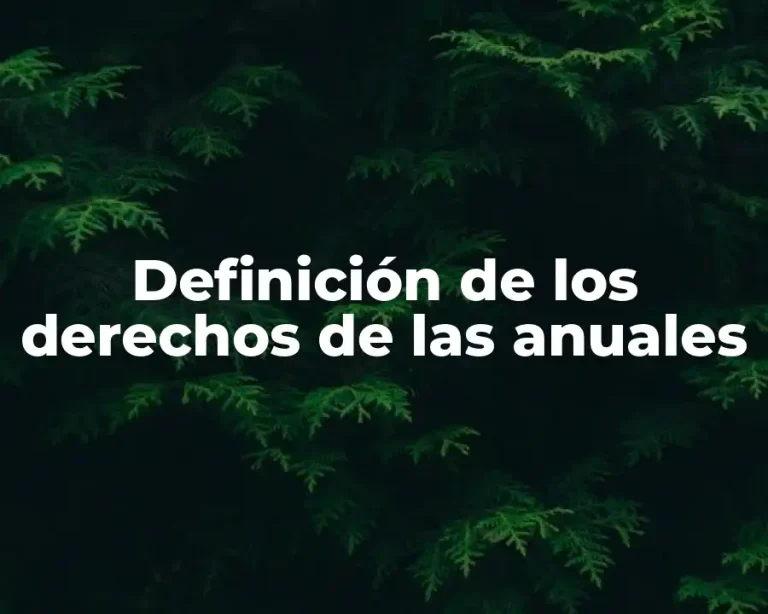 Definición de los derechos de las anuales
