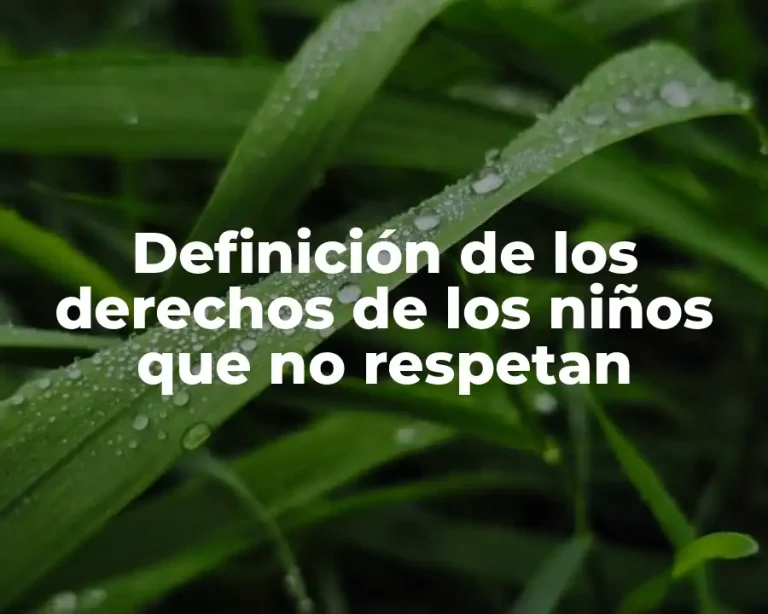 Definición de los derechos de los niños que no respetan