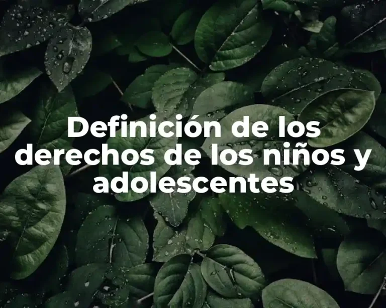 Definición de los derechos de los niños y adolescentes