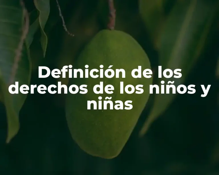 Definición de los derechos de los niños y niñas