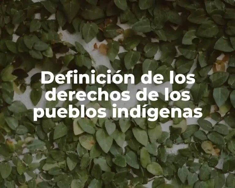 Definición de los derechos de los pueblos indígenas