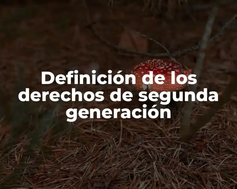 Definición de los derechos de segunda generación