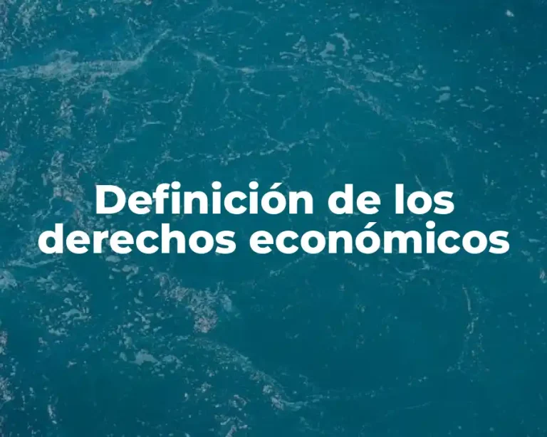 Definición de los derechos económicos