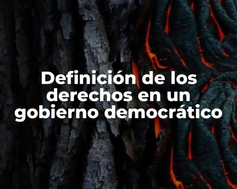 Definición de los derechos en un gobierno democrático