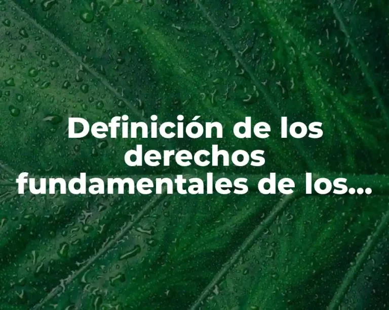 Definición de los derechos fundamentales de los niños