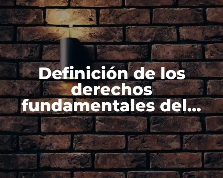 Definición de los derechos fundamentales del hombre
