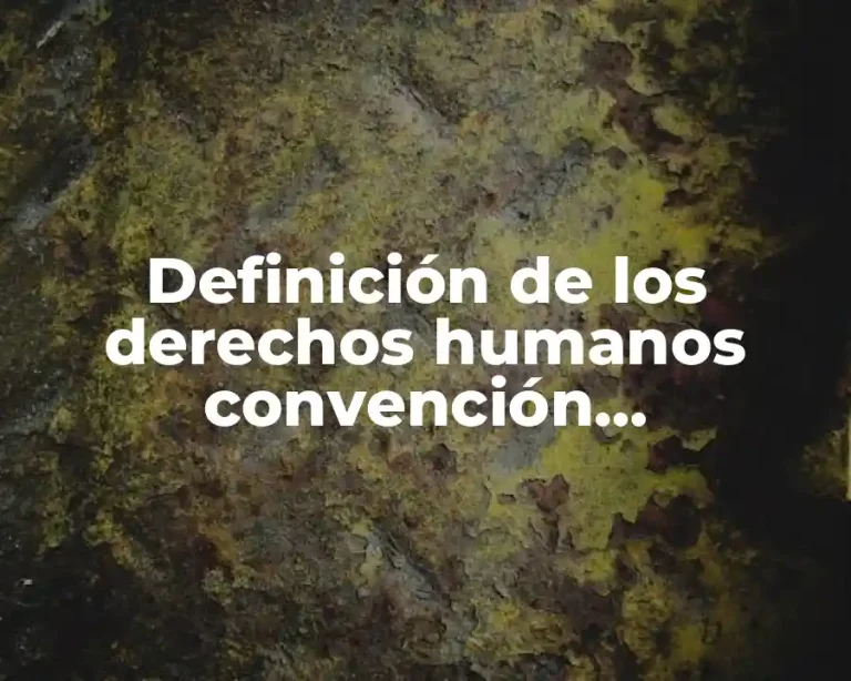 Definición de los derechos humanos convención interamericana