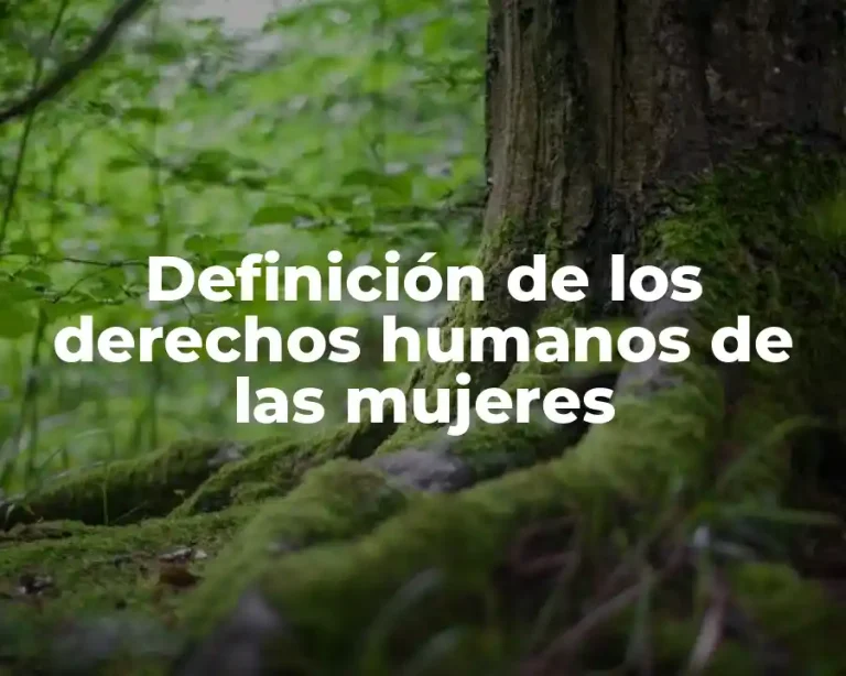 Definición de los derechos humanos de las mujeres