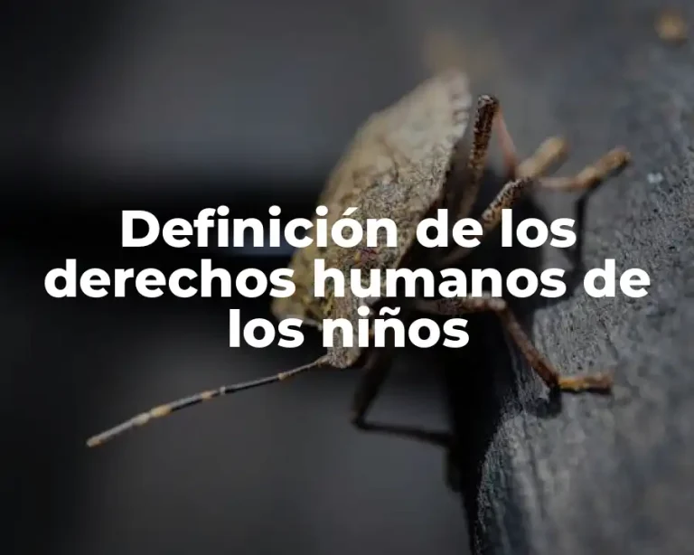 Definición de los derechos humanos de los niños