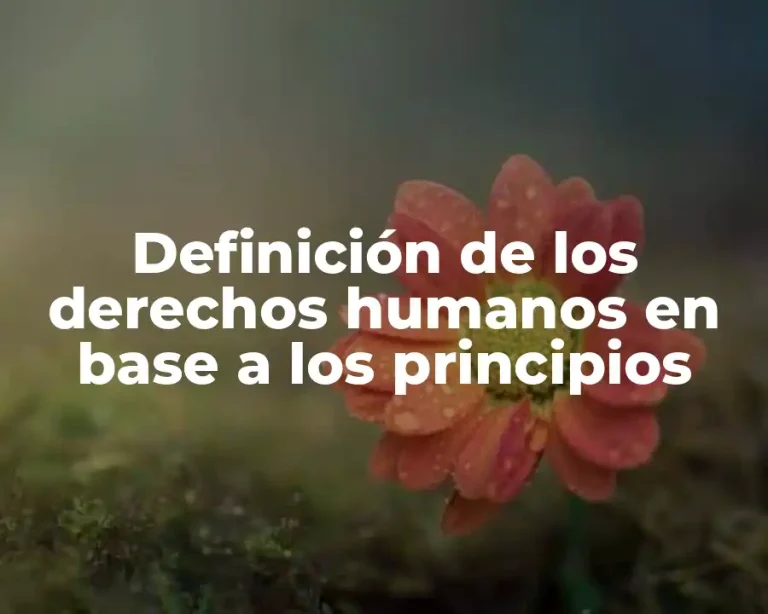 Definición de los derechos humanos en base a los principios