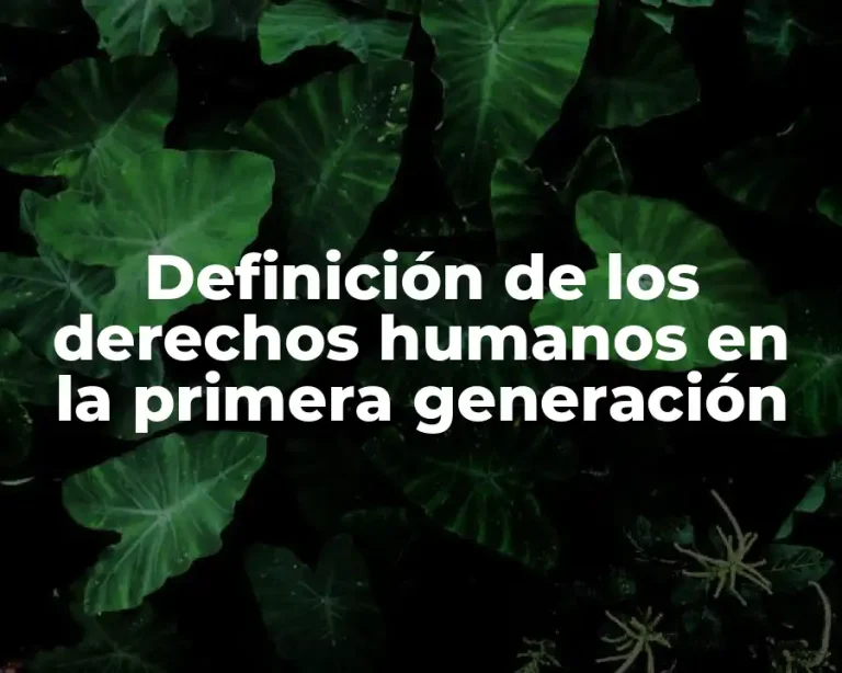 Definición de los derechos humanos en la primera generación