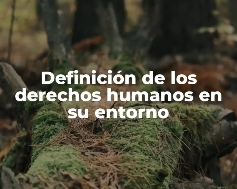 Definición de los derechos humanos en su entorno