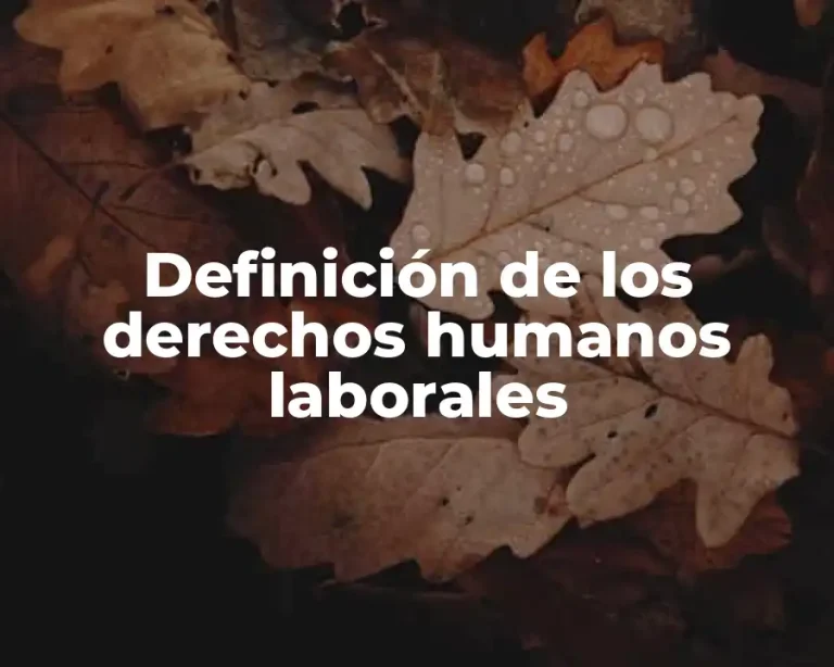 Definición de los derechos humanos laborales