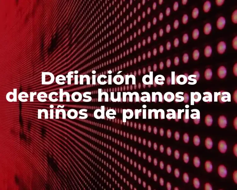 Definición de los derechos humanos para niños de primaria