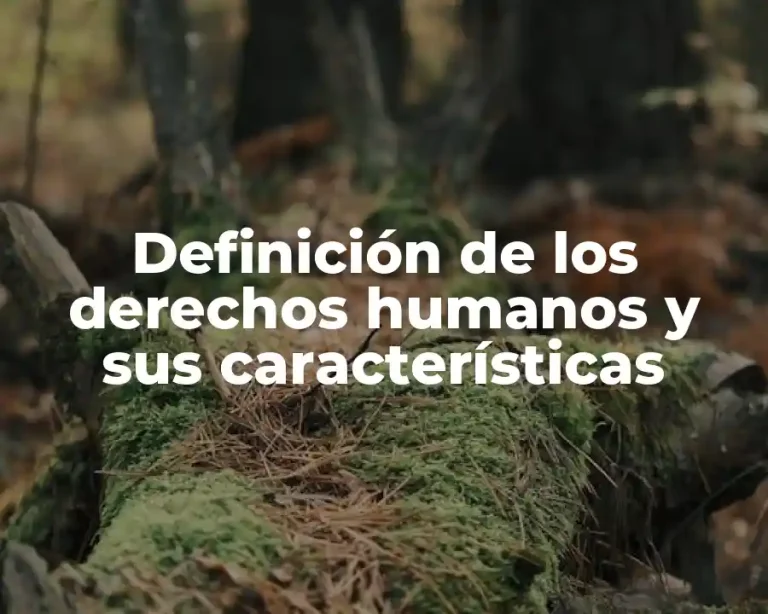 Definición de los derechos humanos y sus características