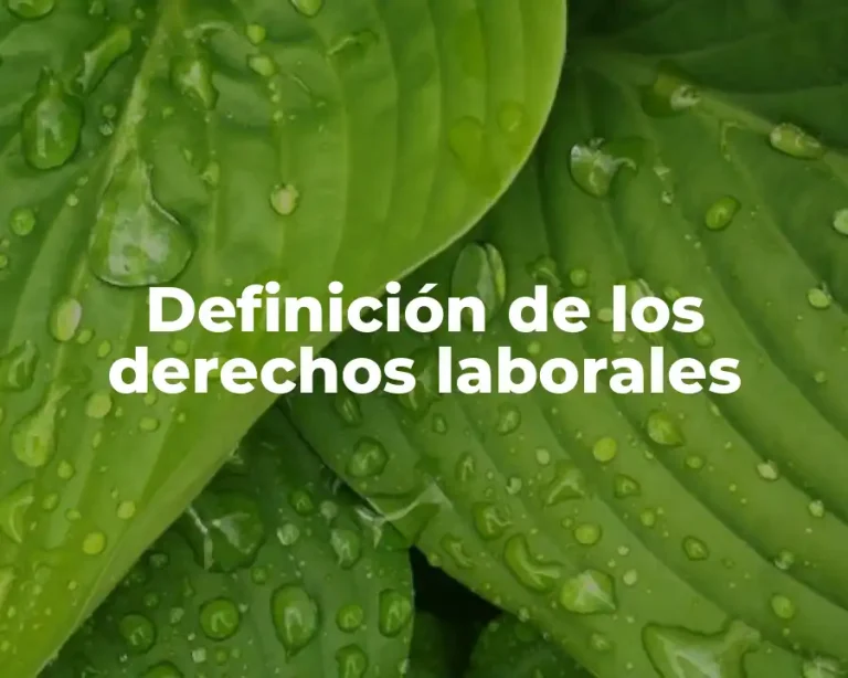 Definición de los derechos laborales