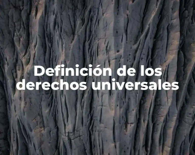 Definición de los derechos universales