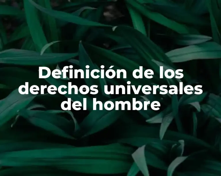 Definición de los derechos universales del hombre