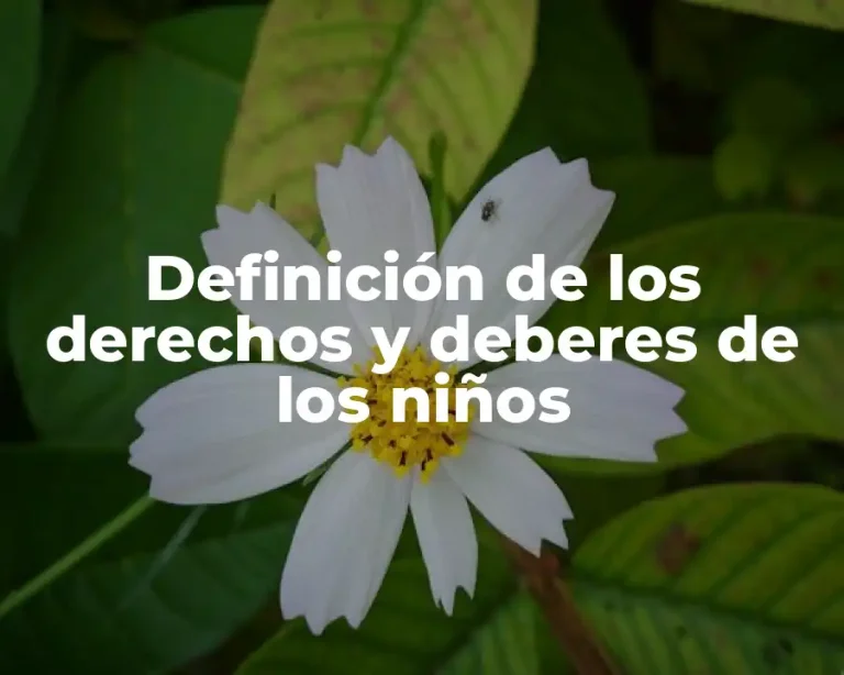 Definición de los derechos y deberes de los niños
