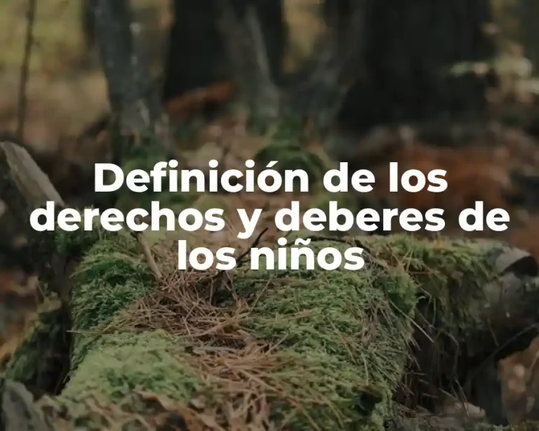 Definición de los derechos y deberes de los niños