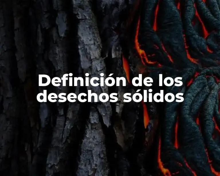 Definición de los desechos sólidos