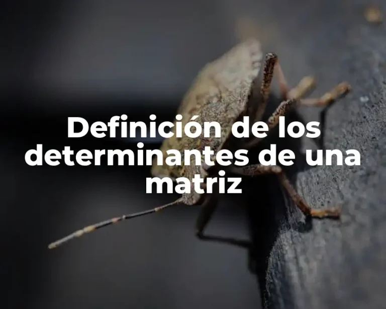 Definición de los determinantes de una matriz
