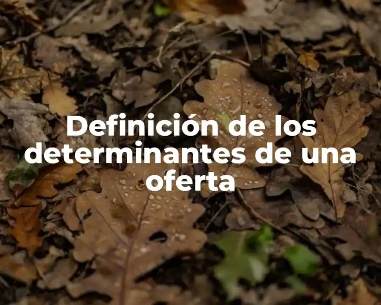 Definición de los determinantes de una oferta