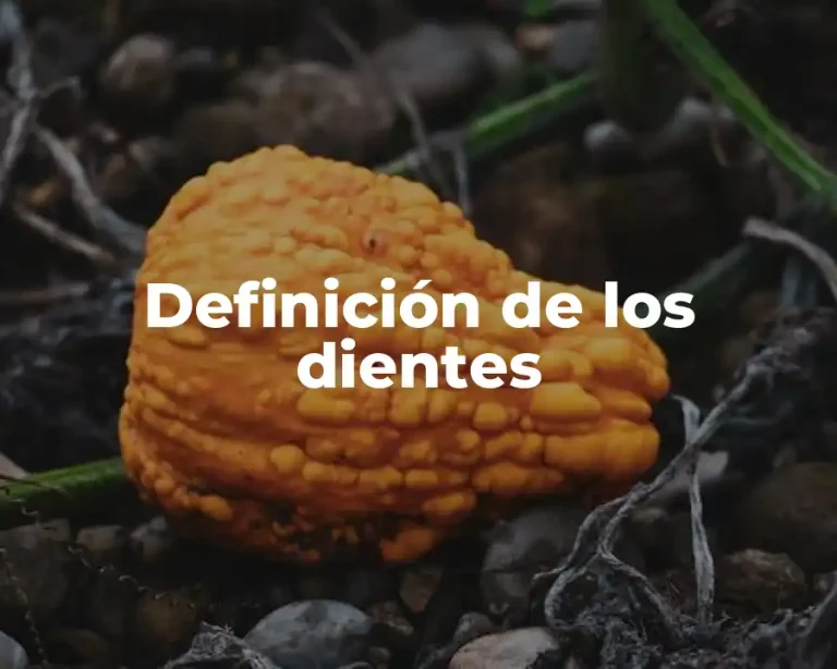 Definición de los dientes