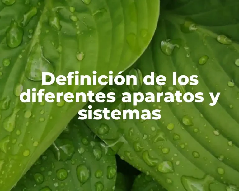 Definición de los diferentes aparatos y sistemas