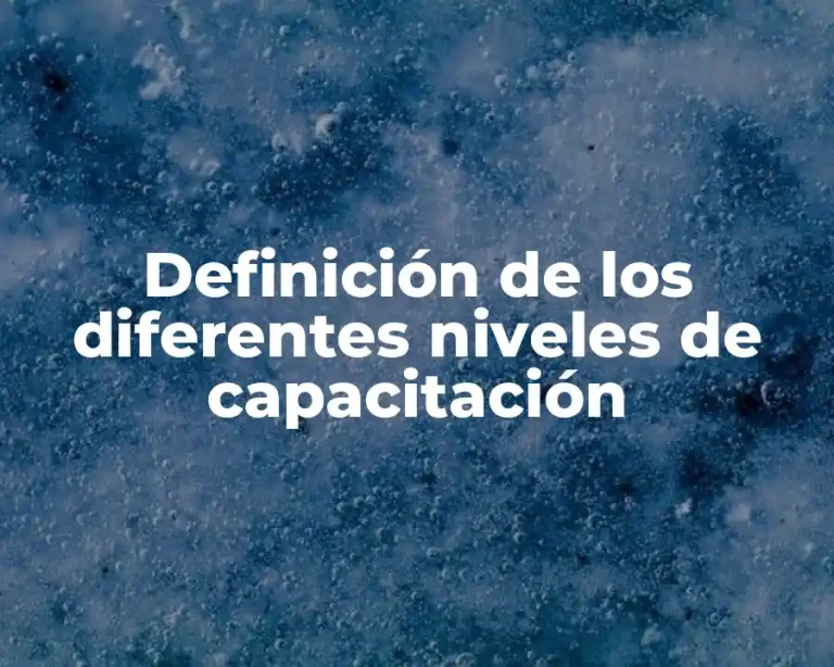 Definición de los diferentes niveles de capacitación