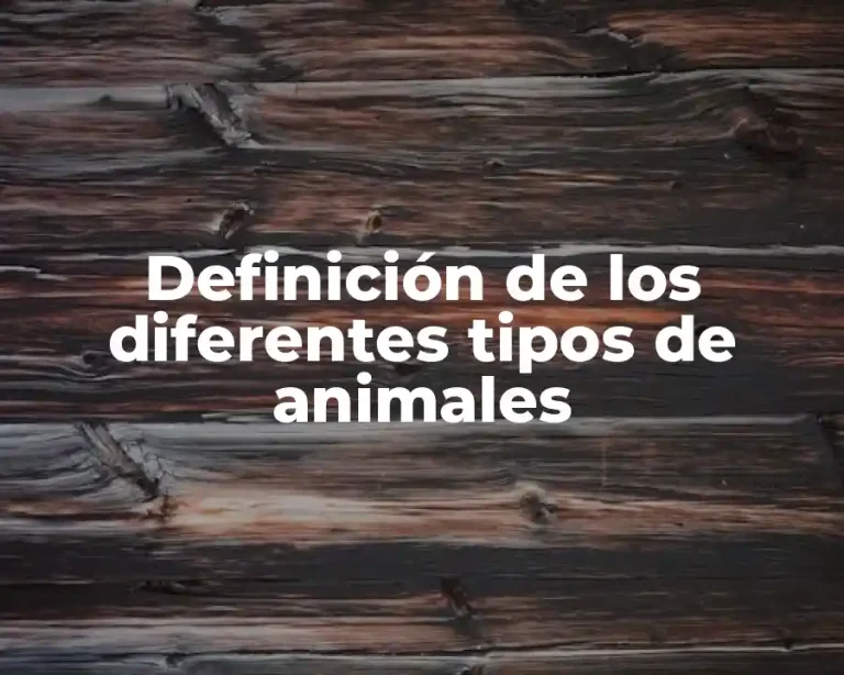 Definición de los diferentes tipos de animales