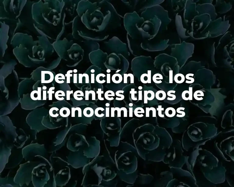 Definición de los diferentes tipos de conocimientos