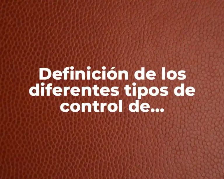 Definición de los diferentes tipos de control de administración