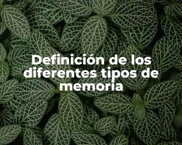 Definición de los diferentes tipos de memoria
