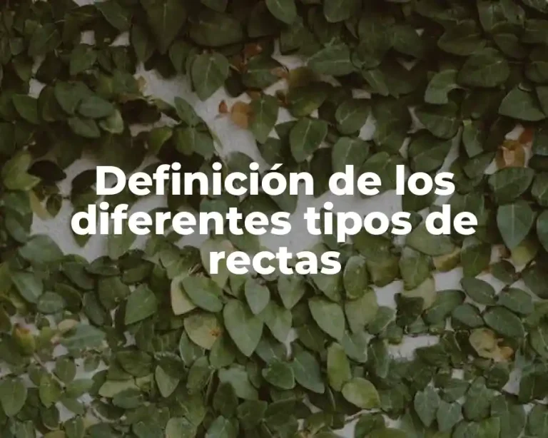 Definición de los diferentes tipos de rectas