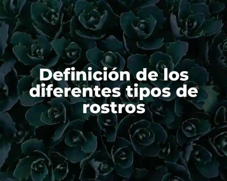 Definición de los diferentes tipos de rostros