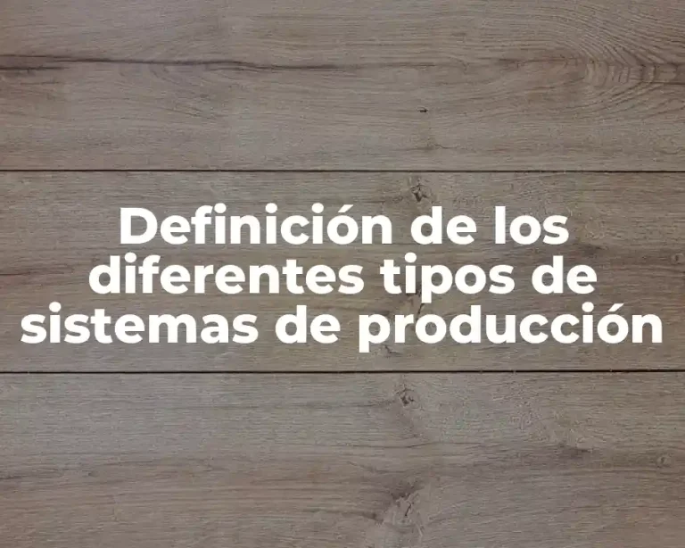 Definición de los diferentes tipos de sistemas de producción