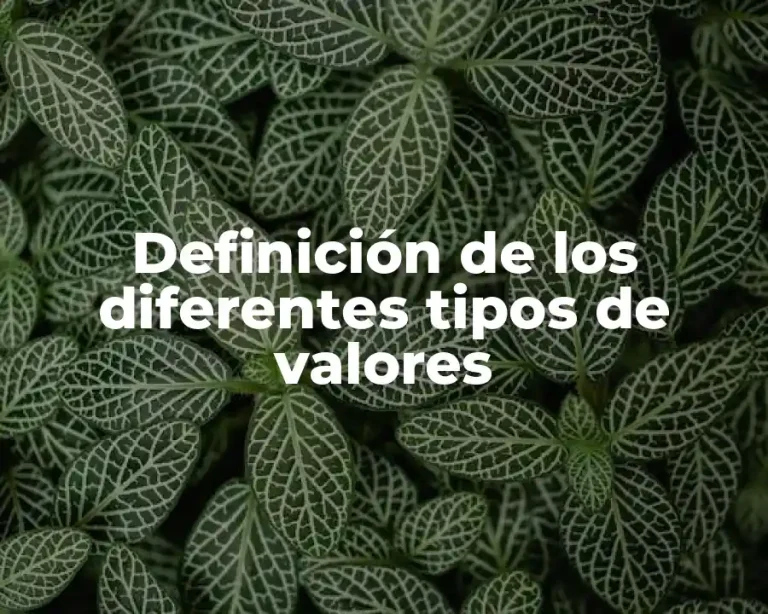 Definición de los diferentes tipos de valores