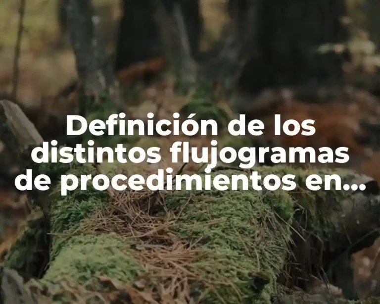 Definición de los distintos flujogramas de procedimientos en un clínica