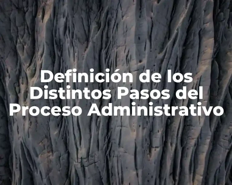 Definición de los Distintos Pasos del Proceso Administrativo
