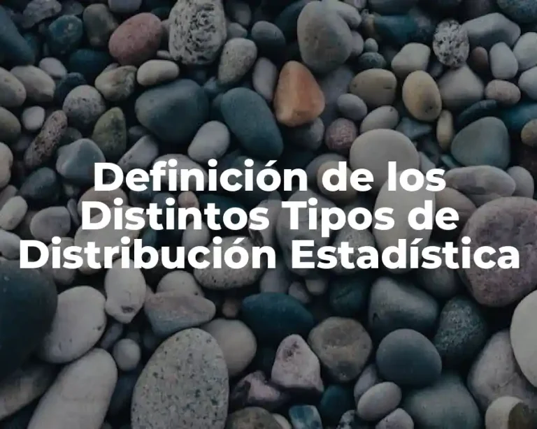 Definición de los Distintos Tipos de Distribución Estadística