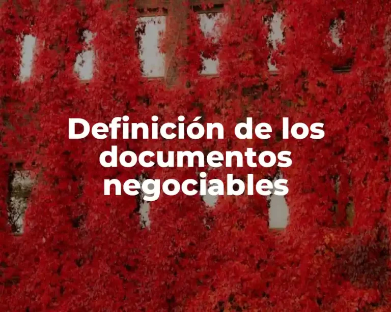 Definición de los documentos negociables